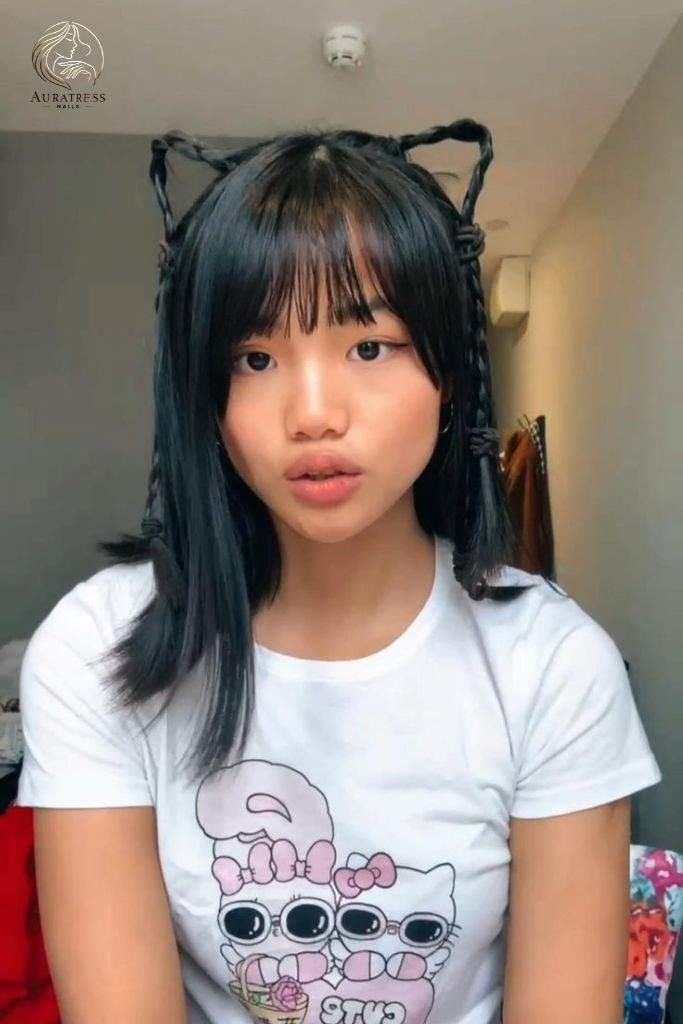 Cat Ears Braid